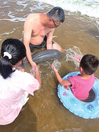 托他的福搁浅江豚回家了 小家伙在海军公园沙滩搁浅，热心市民暖心托举20分钟施救