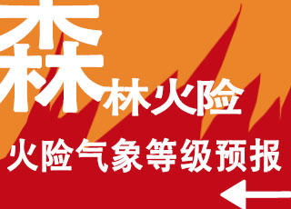 森林火险气象等级预报 (2024 年第 183 期)