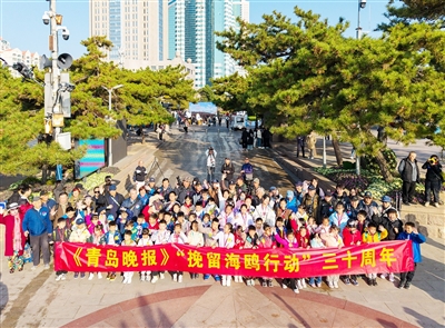 晚报“挽留海鸥行动”30年了！昨天栈桥万鸥翔集大咖摄影师牵手小记者开拍