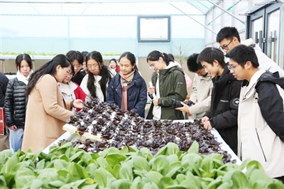 視頻 | 一場思想碰撞，埋下探秘生物學(xué)“種子”  清華大學(xué)學(xué)生社會實踐支隊走進膠州市瑞華實驗小學(xué)并為“少年農(nóng)科院”揭牌