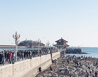 栈桥回澜阁修缮又有新进展 2月底开工为期60天