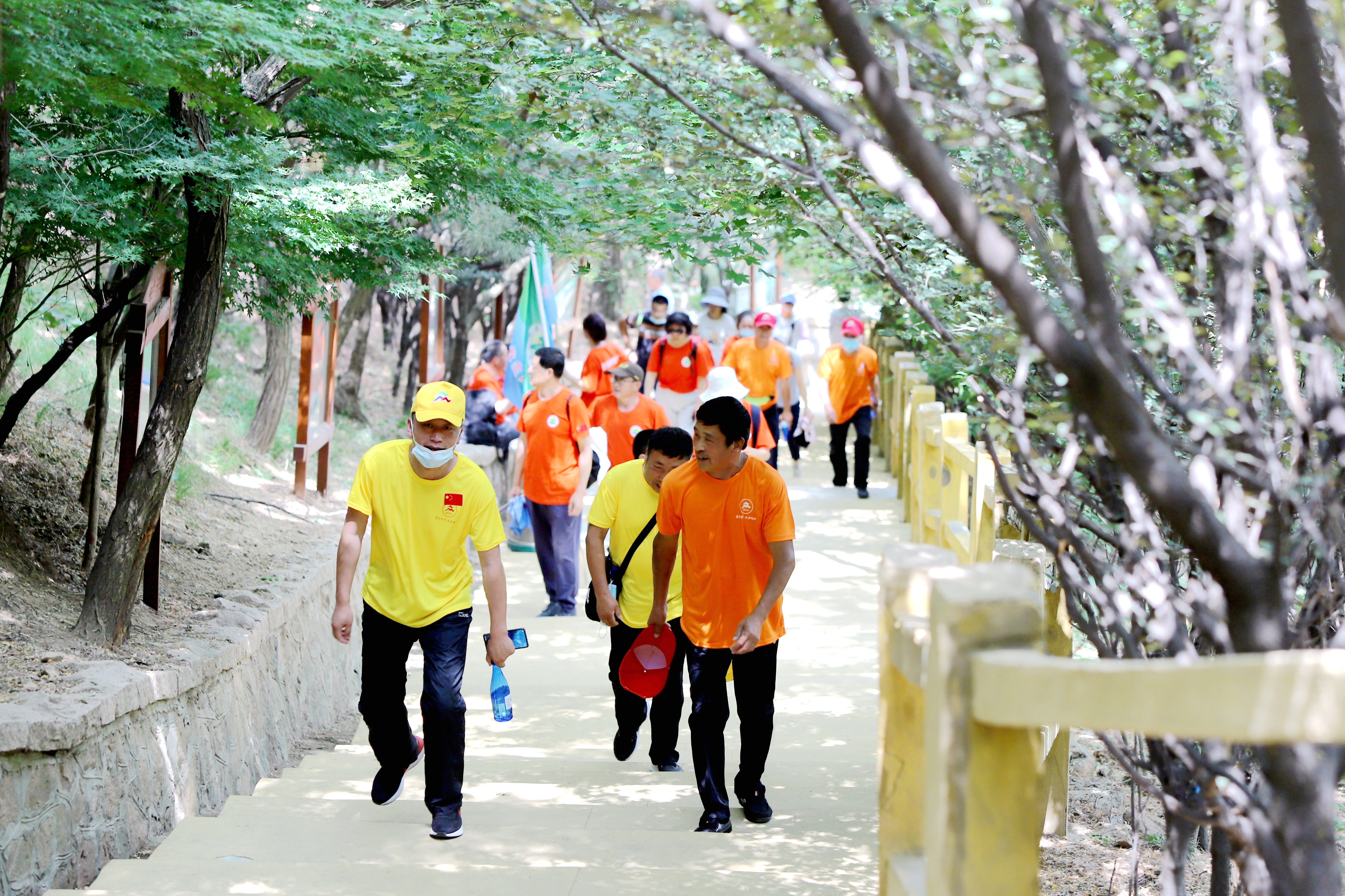 山之呼唤：登山活动报名热潮涌动
